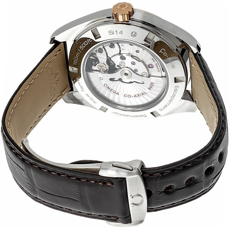 Omega Seamaster Aqua Terra 231.23.43.22.06.001