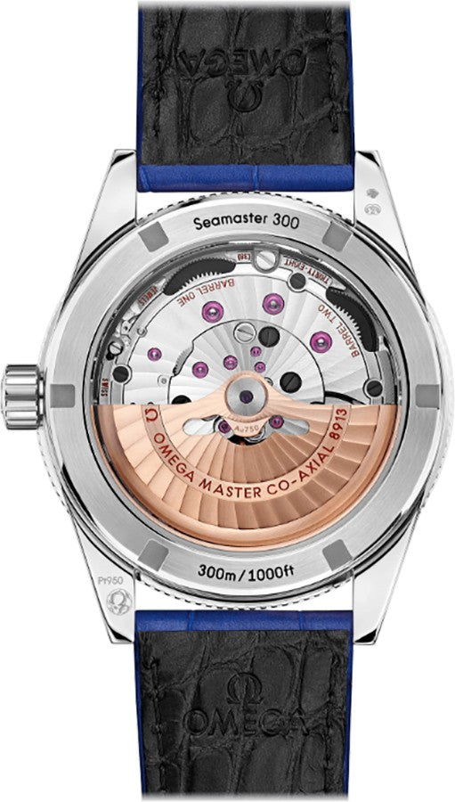 Omega Seamaster 300 Platinum Men's Watch 234.93.41.21.99.002