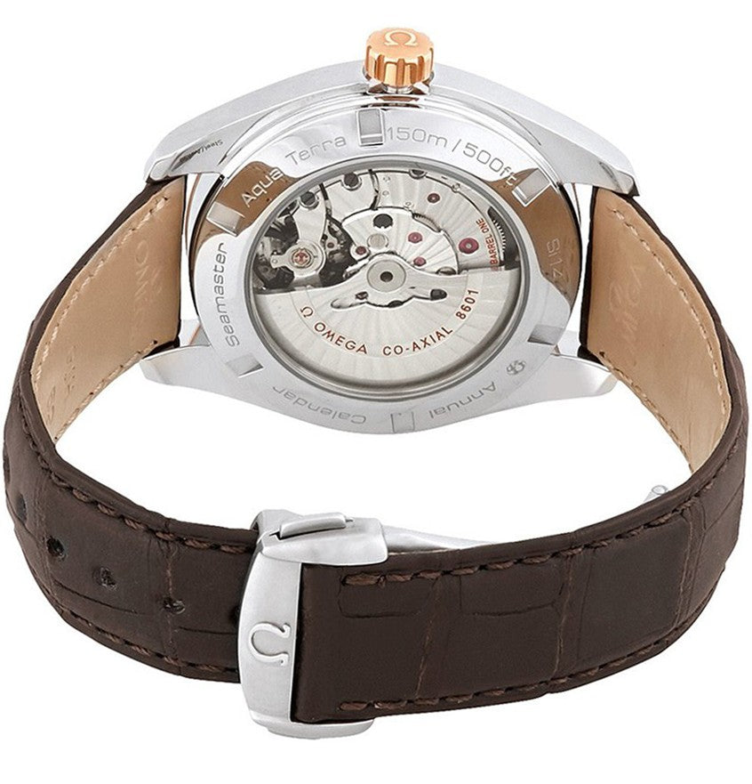 Omega Seamaster Aqua Terra Annual Calendar Men's Watch 231.23.43.22.06.002