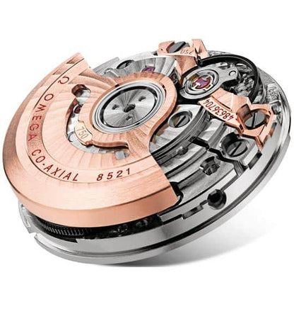 Omega Seamaster Aqua Terra 231.50.30.20.55.001