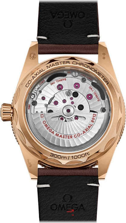 Omega Seamaster 300 Bronze Gold 41mm Men's Watch 234.92.41.21.10.001