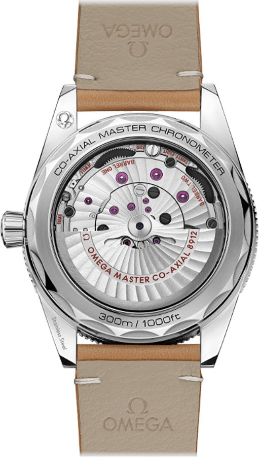 Omega Seamaster 300 Automatic 41mm Men's Watch 234.32.41.21.03.001