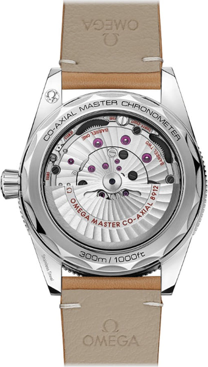 Omega Seamaster 300 Automatic 41mm Men's Watch 234.32.41.21.03.001