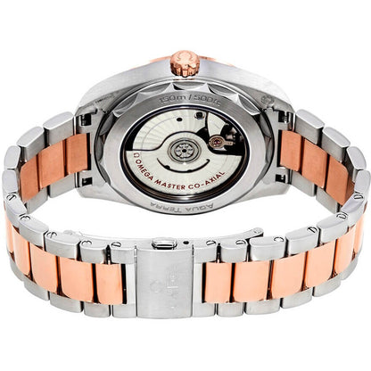 Omega Seamaster Aqua Terra Women's Watch 220.20.38.20.55.001