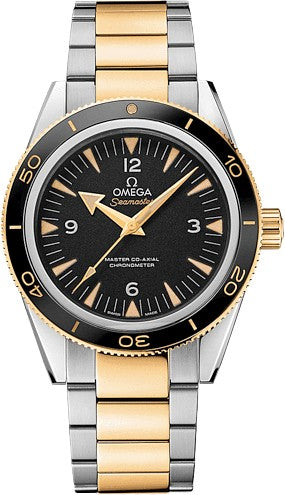 Omega Seamaster 233.20.41.21.01.002